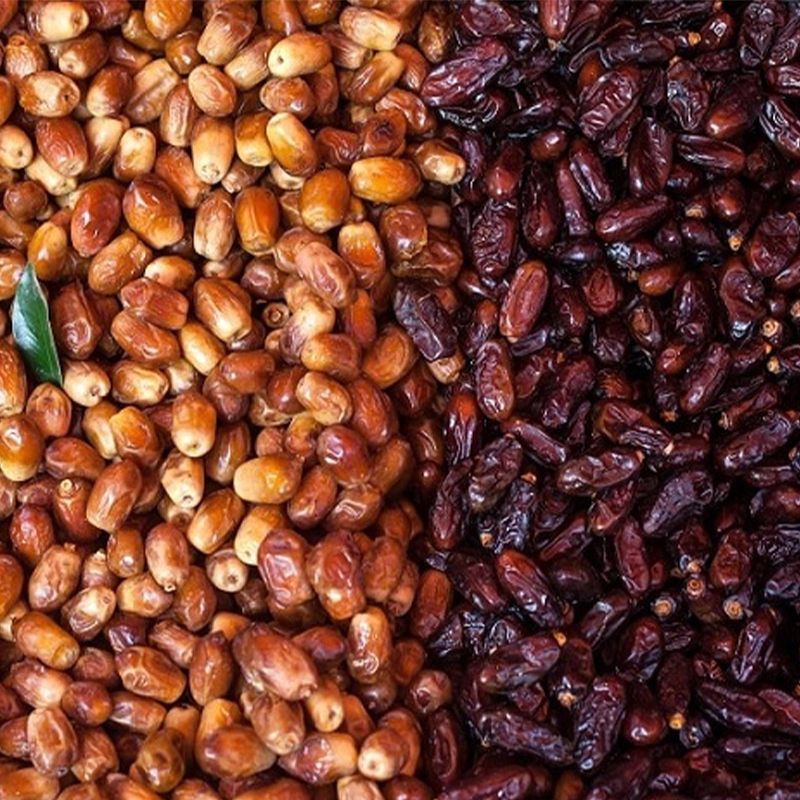 مقایسه مواد معدنی خرما و رطب