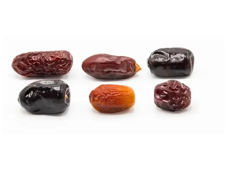 راهنمای خرید خرما