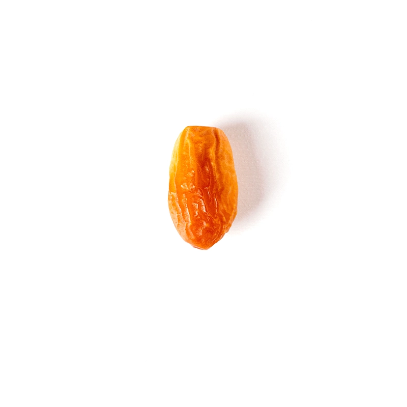 خرما زاهدی پانیل